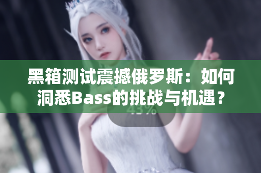 黑箱测试震撼俄罗斯：如何洞悉Bass的挑战与机遇？