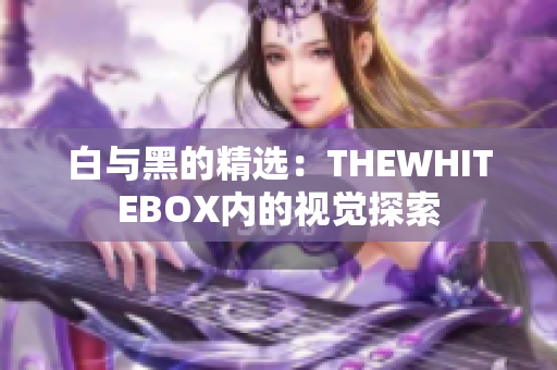 白与黑的精选：THEWHITEBOX内的视觉探索