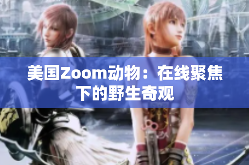 美国Zoom动物：在线聚焦下的野生奇观