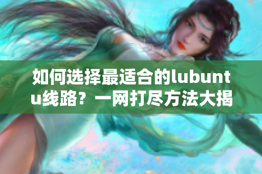 如何选择最适合的lubuntu线路？一网打尽方法大揭秘