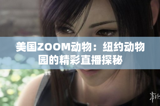 美国ZOOM动物：纽约动物园的精彩直播探秘