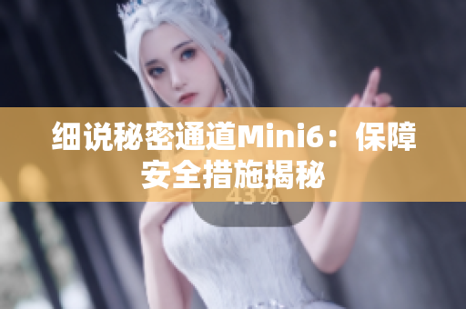 细说秘密通道Mini6：保障安全措施揭秘