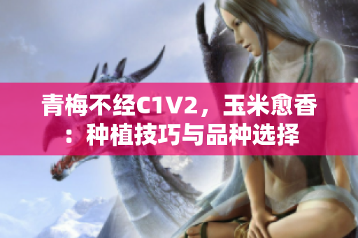 青梅不经C1V2，玉米愈香：种植技巧与品种选择