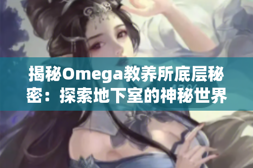 揭秘Omega教养所底层秘密：探索地下室的神秘世界