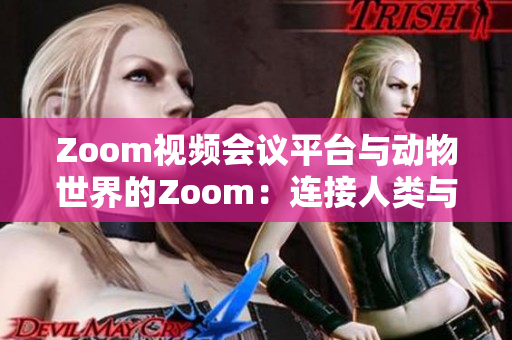 Zoom视频会议平台与动物世界的Zoom：连接人类与自然的数字桥梁