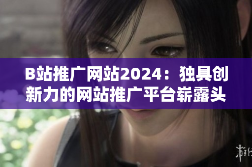 B站推广网站2024：独具创新力的网站推广平台崭露头角