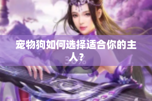 宠物狗如何选择适合你的主人？