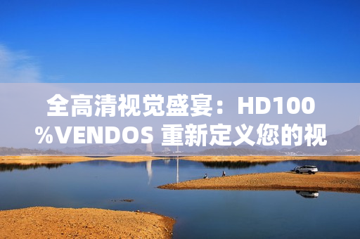 全高清视觉盛宴：HD100%VENDOS 重新定义您的视听体验