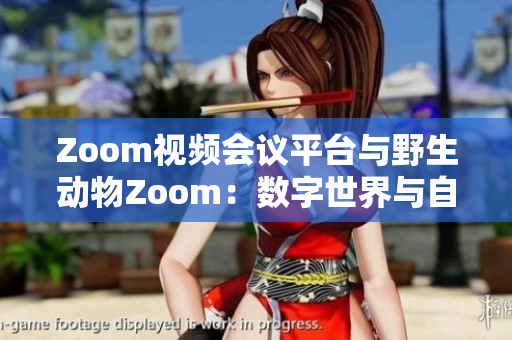 Zoom视频会议平台与野生动物Zoom：数字世界与自然生态的对话