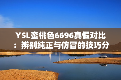 YSL蜜桃色6696真假对比：辨别纯正与仿冒的技巧分享