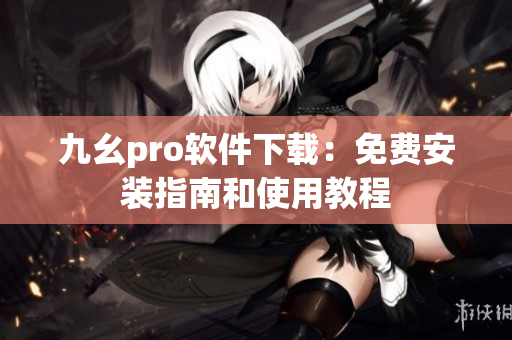 九幺pro软件下载：免费安装指南和使用教程