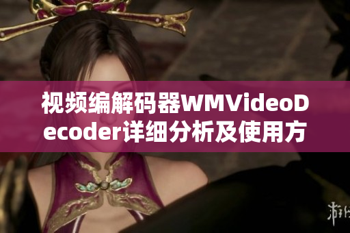 视频编解码器WMVideoDecoder详细分析及使用方法