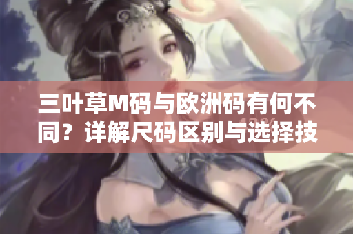 三叶草M码与欧洲码有何不同？详解尺码区别与选择技巧