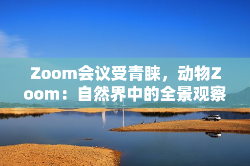 Zoom会议受青睐，动物Zoom：自然界中的全景观察