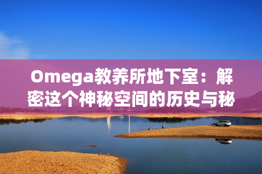 Omega教养所地下室：解密这个神秘空间的历史与秘密