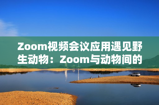 Zoom视频会议应用遇见野生动物：Zoom与动物间的不可思议相遇