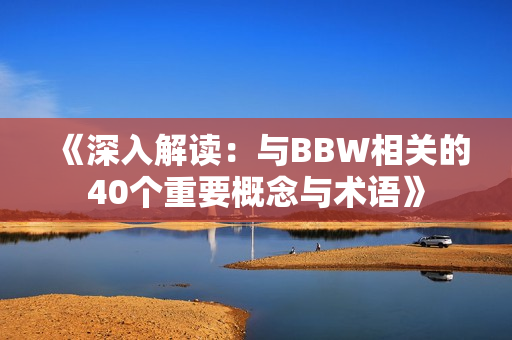 《深入解读：与BBW相关的40个重要概念与术语》