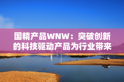 国精产品WNW：突破创新的科技驱动产品为行业带来新视角