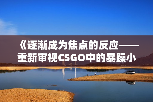 《逐渐成为焦点的反应——重新审视CSGO中的暴躁小阿姨现象》