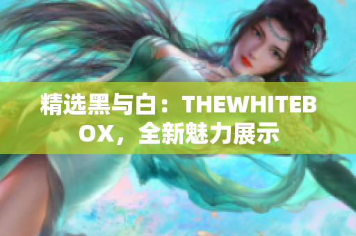 精选黑与白：THEWHITEBOX，全新魅力展示