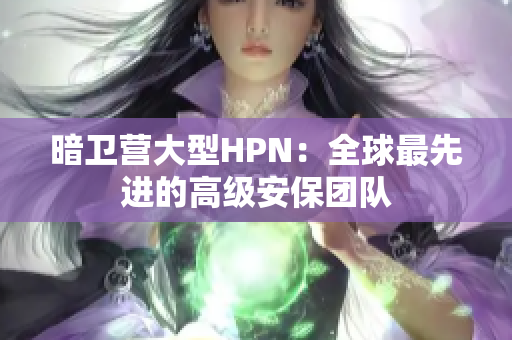 暗卫营大型HPN：全球最先进的高级安保团队