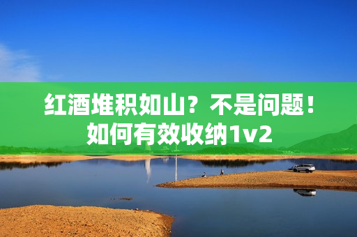 红酒堆积如山？不是问题！如何有效收纳1v2