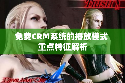 免费CRM系统的播放模式 重点特征解析