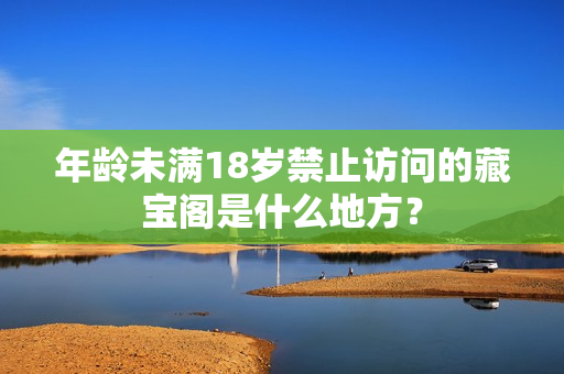 年龄未满18岁禁止访问的藏宝阁是什么地方？