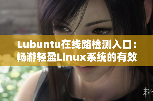 Lubuntu在线路检测入口：畅游轻盈Linux系统的有效访问方式