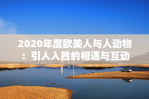 2020年度欧美人与人动物：引人入胜的相遇与互动