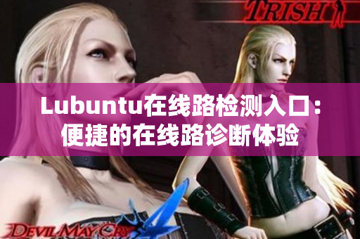 Lubuntu在线路检测入口：便捷的在线路诊断体验