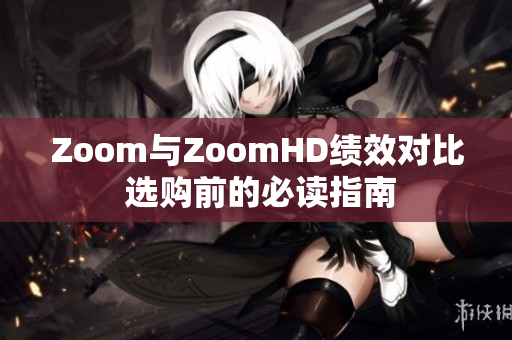 Zoom与ZoomHD绩效对比 选购前的必读指南