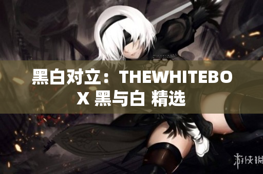 黑白对立：THEWHITEBOX 黑与白 精选