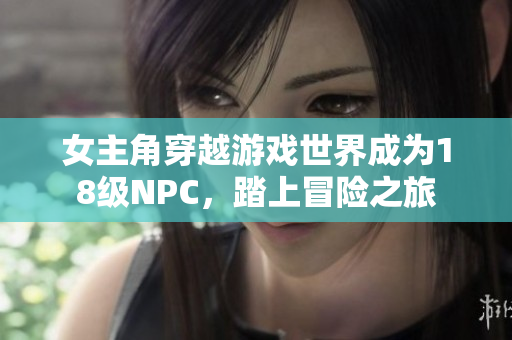 女主角穿越游戏世界成为18级NPC，踏上冒险之旅