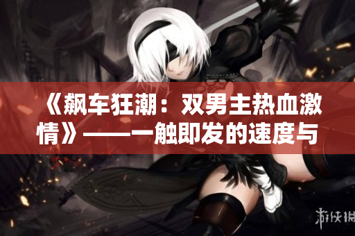 《飙车狂潮：双男主热血激情》——一触即发的速度与激情