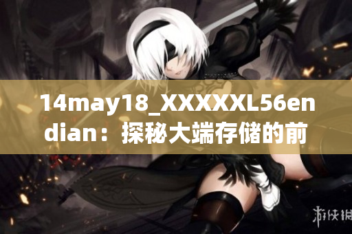 14may18_XXXXXL56endian：探秘大端存储的前沿科技