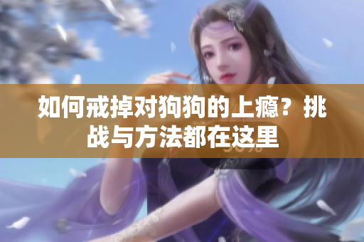 如何戒掉对狗狗的上瘾？挑战与方法都在这里