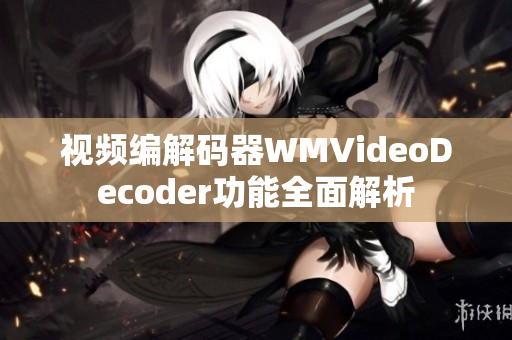 视频编解码器WMVideoDecoder功能全面解析