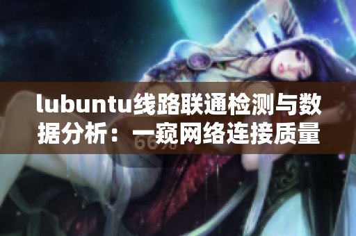 lubuntu线路联通检测与数据分析：一窥网络连接质量