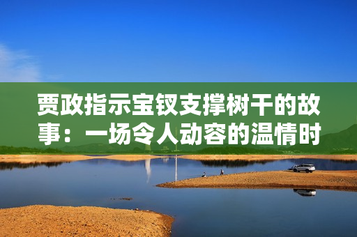 贾政指示宝钗支撑树干的故事：一场令人动容的温情时刻