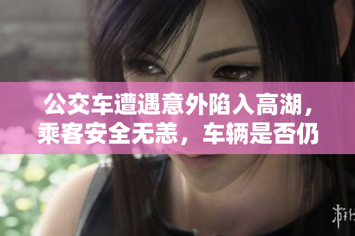 公交车遭遇意外陷入高湖，乘客安全无恙，车辆是否仍可继续运营？