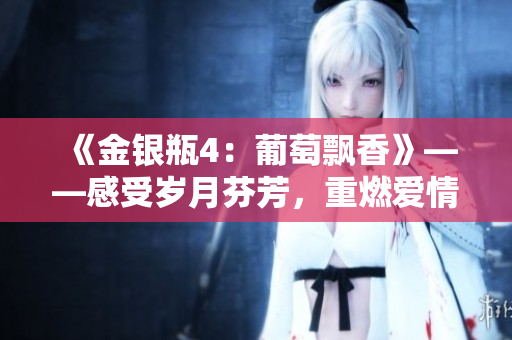 《金银瓶4：葡萄飘香》——感受岁月芬芳，重燃爱情火焰