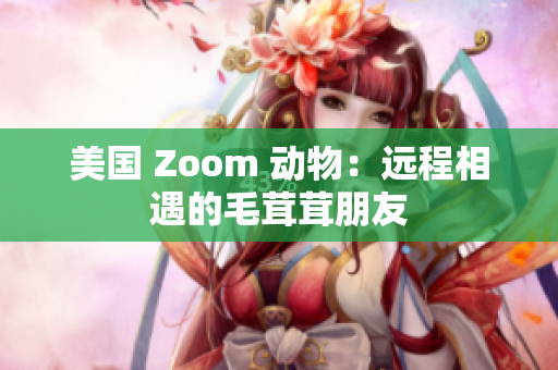 美国 Zoom 动物：远程相遇的毛茸茸朋友