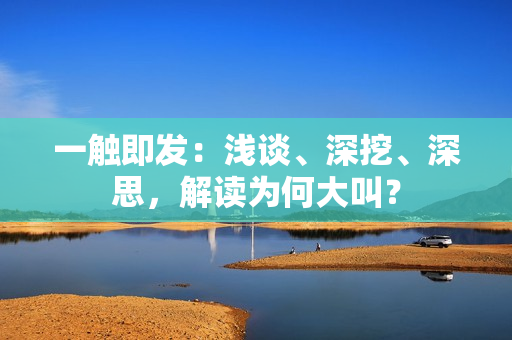 一触即发：浅谈、深挖、深思，解读为何大叫？