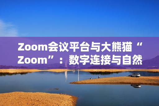 Zoom会议平台与大熊猫“Zoom”：数字连接与自然奇观的碰撞