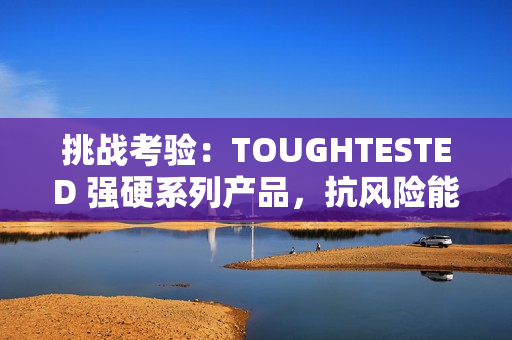 挑战考验：TOUGHTESTED 强硬系列产品，抗风险能力升级