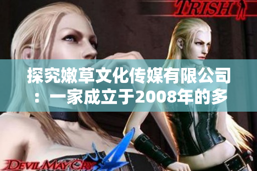 探究嫩草文化传媒有限公司：一家成立于2008年的多媒体创意企业的历程与发展