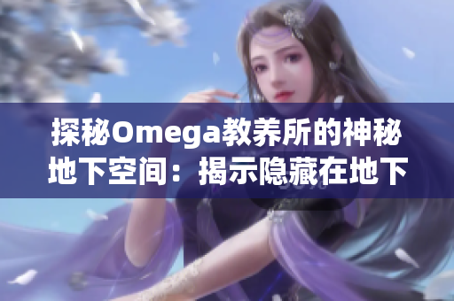 探秘Omega教养所的神秘地下空间：揭示隐藏在地下室的秘密