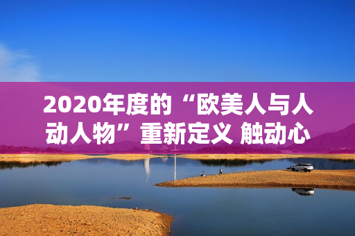 2020年度的“欧美人与人动人物”重新定义 触动心灵的跨文化人际故事