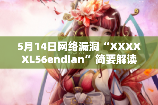 5月14日网络漏洞“XXXXXL56endian”简要解读